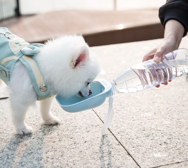 Teddy Portable Drinking Water Bottle - Image 2