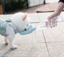 Teddy Portable Drinking Water Bottle