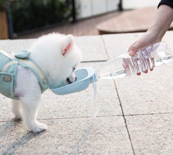 Teddy Portable Drinking Water Bottle - Image 8