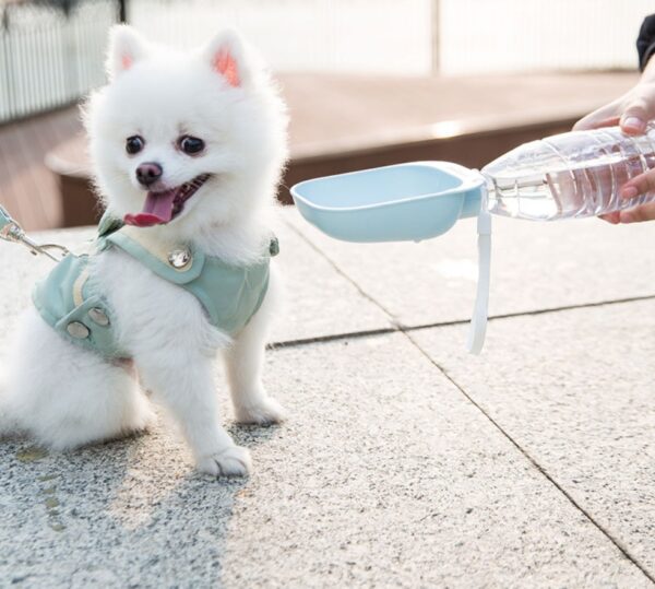Teddy Portable Drinking Water Bottle - Image 3